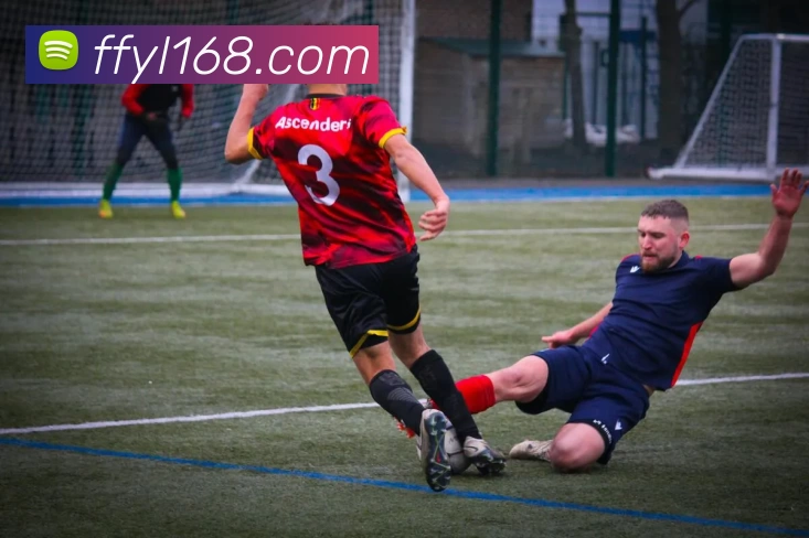 非凡娱乐官网平台生态图